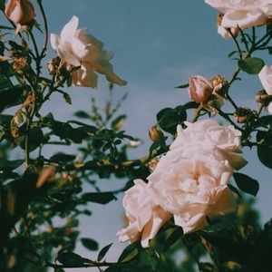 Meet your Posher, Claudia